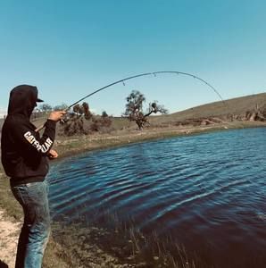 Meet your Posher, Jack